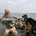Beach Hotel Oostvoorne