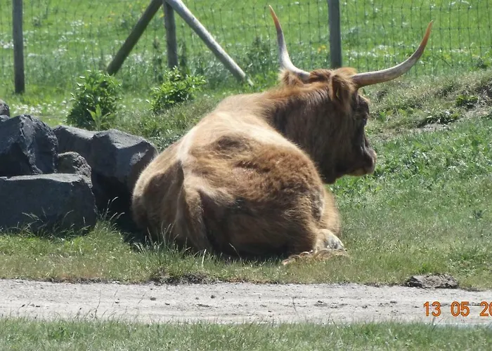 Beach Hotel Oostvoorne Hotel