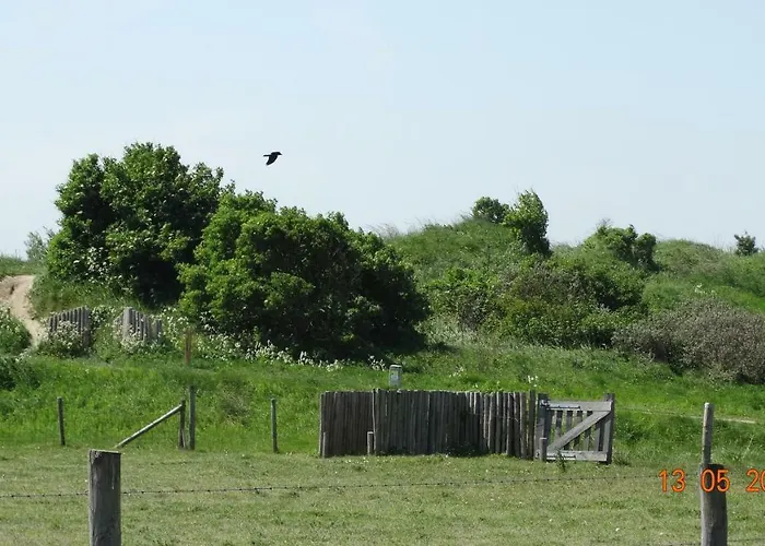 Beach Hotel Oostvoorne Hotel
