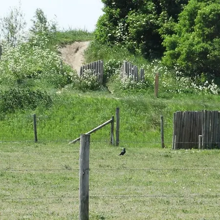 Beach Hotel Oostvoorne מלון אוסטבורנה