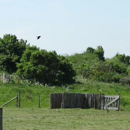 Beach Hotel Oostvoorne מלון